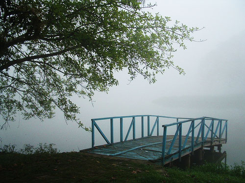 Foggy Joka Foggy Joka